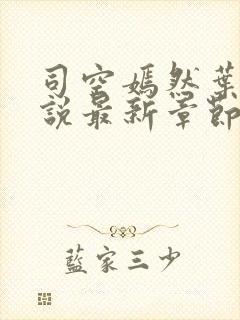 司空嫣然叶凡小说最新章节阅读