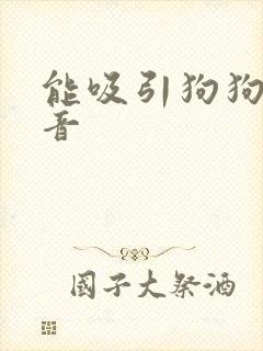能吸引狗狗的声音