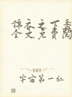 锦衣之下番外篇全文免费阅读