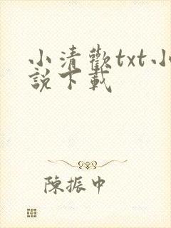 小清欢txt小说下载
