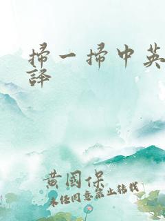 扫一扫中英文翻译