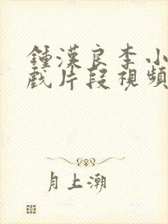 钟汉良李小冉吻戏片段视频