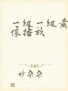 一级一级黄色录像播放