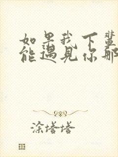 如果我下辈子还能遇见你那是什么歌