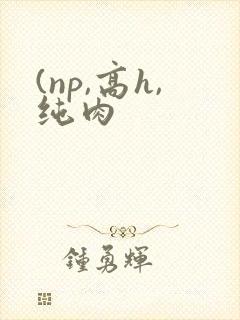 (np,高h,纯肉