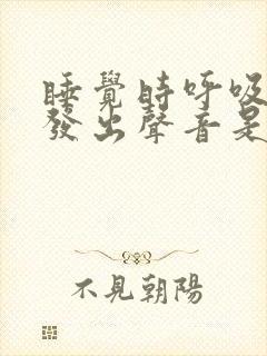 睡觉时呼吸气管发出声音是什么原因