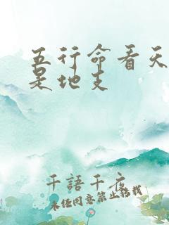 五行命看天干还是地支