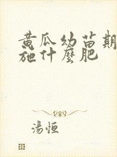 黄瓜幼苗期应该施什么肥