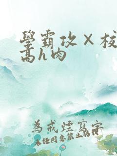 学霸攻×校霸受高h肉