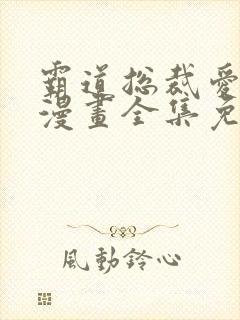 霸道总裁爱上我漫画全集免费