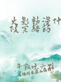 火影动漫什么时候完结的