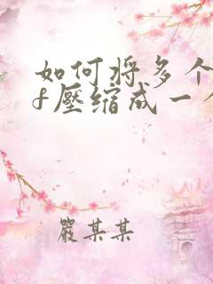 如何将多个pdf压缩成一个文件包