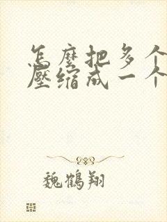怎么把多个图片压缩成一个pdf