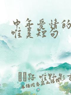 中年爱情的句子唯美短句