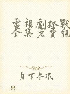 电视剧孤战迷城全集免费观看高清