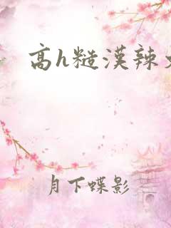 高h糙汉辣文