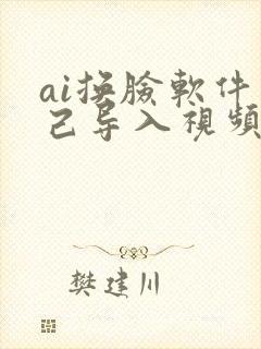 ai换脸软件自己导入视频吗