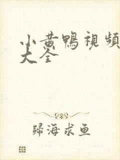 小黄鸭视频安装大全