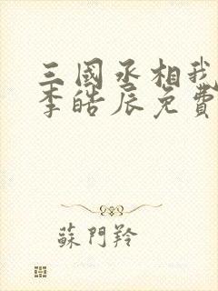三国丞相我来了李皓辰免费阅读