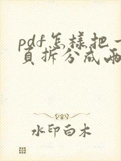 pdf怎样把一页拆分成两页