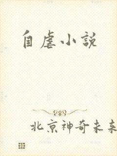 自虐小说