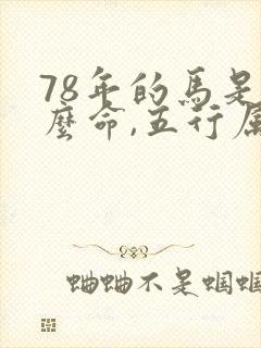 78年的马是什么命,五行属性