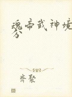 魂帝武神境界划分