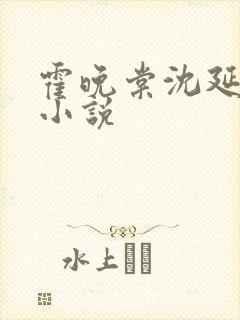 霍晚棠沈延初的小说