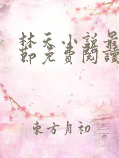 林天小说最新章节免费阅读全文
