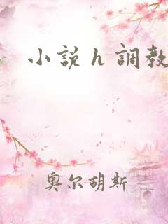 小说 h 调教