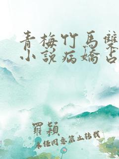 青梅竹马双男主小说病娇占有欲强