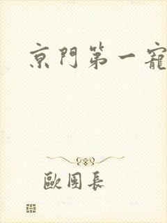 京门第一宠