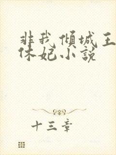 非我倾城王爷要休妃小说