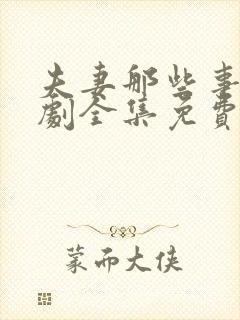 夫妻那些事电视剧全集免费观看完整版