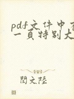 pdf文件中有一页特别大如何调整