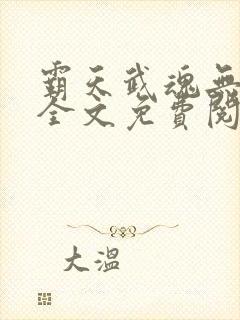 霸天武魂无弹窗全文免费阅读