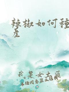 辣椒如何种植高产
