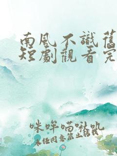 南风不识旧时人短剧观看完整版