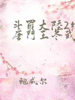 斗罗大陆2绝世唐门王冬武魂