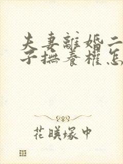夫妻离婚二个孩子抚养权怎么判定
