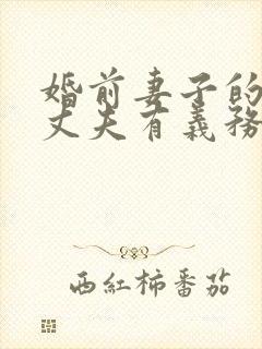 婚前妻子的债务丈夫有义务偿还吗