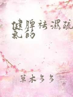 健脾祛湿疏肝理气的