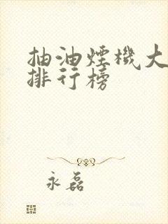抽油烟机大品牌排行榜