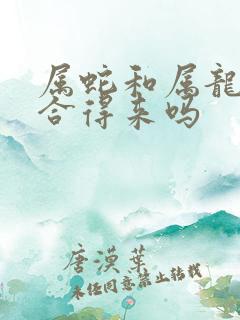 属蛇和属龙的人合得来吗