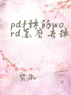 pdf转的word怎么去掉原有格式