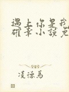 遇上你是我的小确幸小说免费阅读