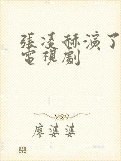 张凌赫演了哪些电视剧
