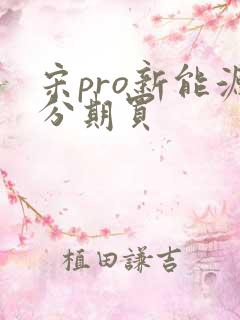 宋pro新能源分期买