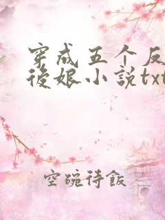 穿成五个反派的后娘小说txt