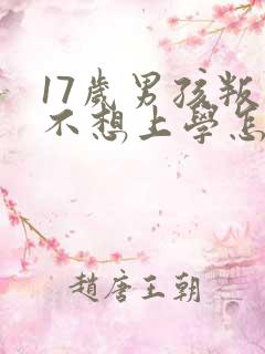 17岁男孩叛逆不想上学怎么办